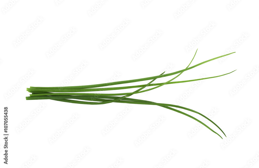 Green onion scallions isolated Green onion scallions isolated