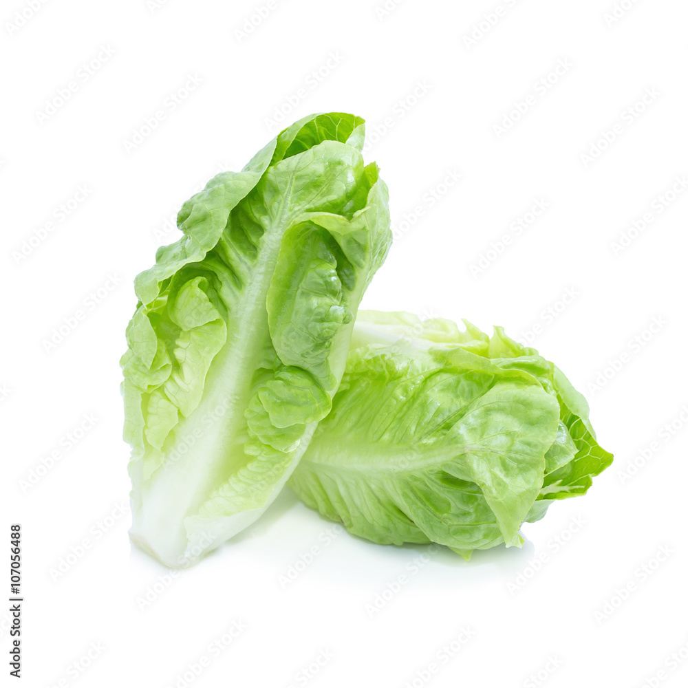 Cos Lettuce Isolated on White Background Cos Lettuce Isolated on White Background