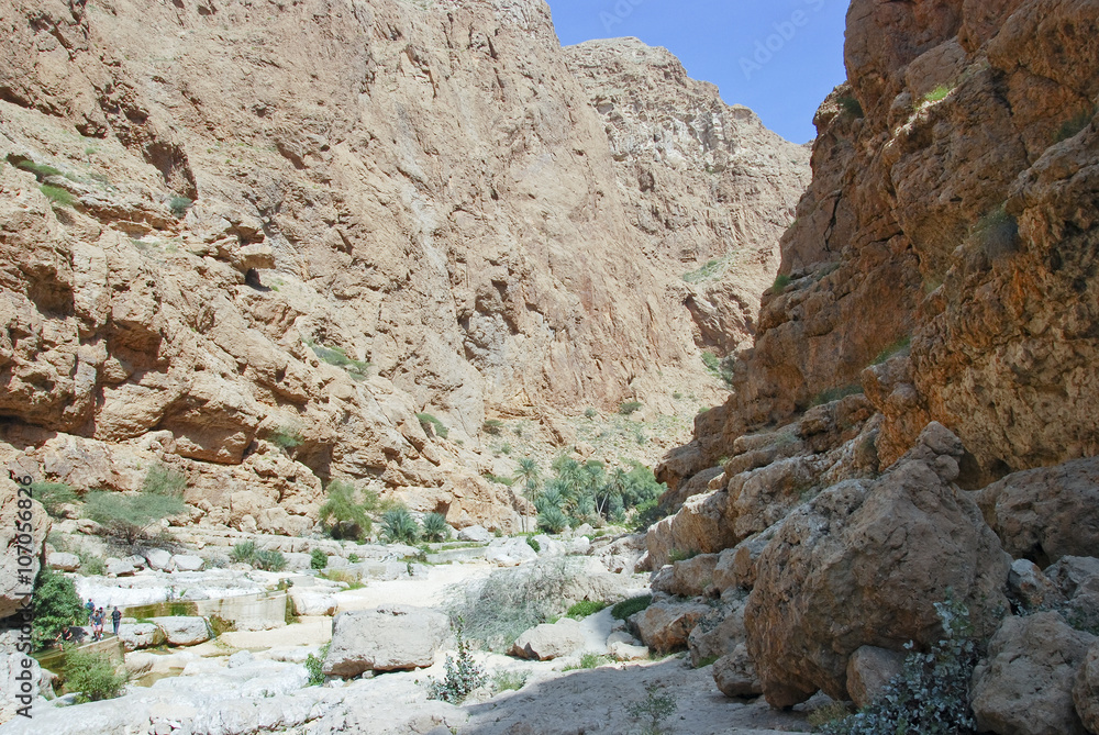 The Wadi Shab with emerald green water, one of the most famous a