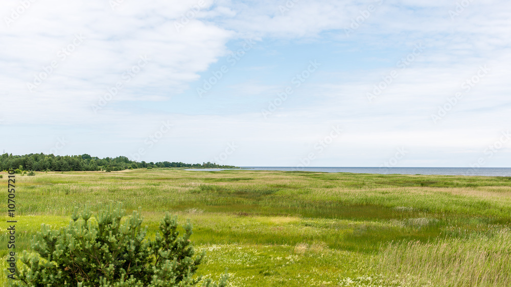 Obraz premium Green grass meadows and fields landscape in a sunny day