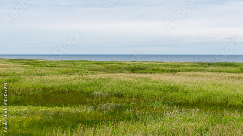 Green grass meadows and fields landscape in a sunny day