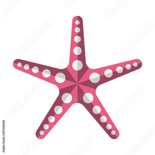 Beautiful pink starfish isolated