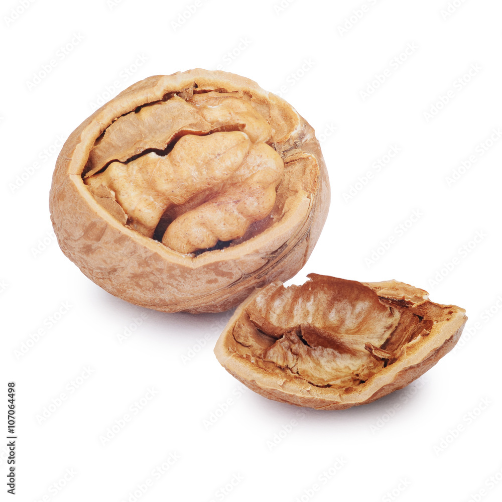 Cracked walnut isolated on the white background. Clipping Path