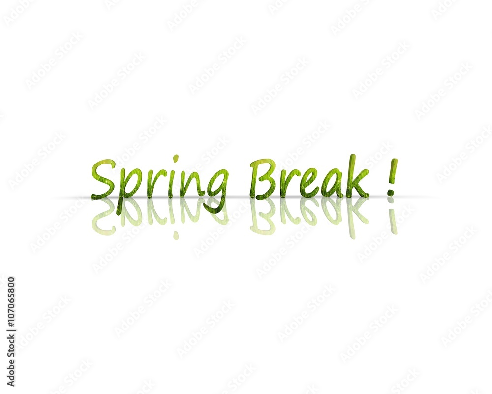 spring break 3d word