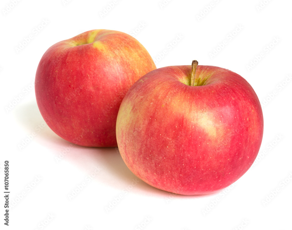 Two apple fruit on white background Two apple fruit on white background