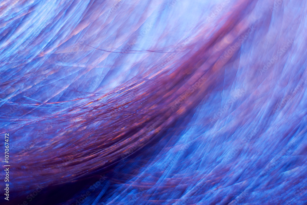 Fototapeta premium Abstract backgrounds. Closeup of a human hair.