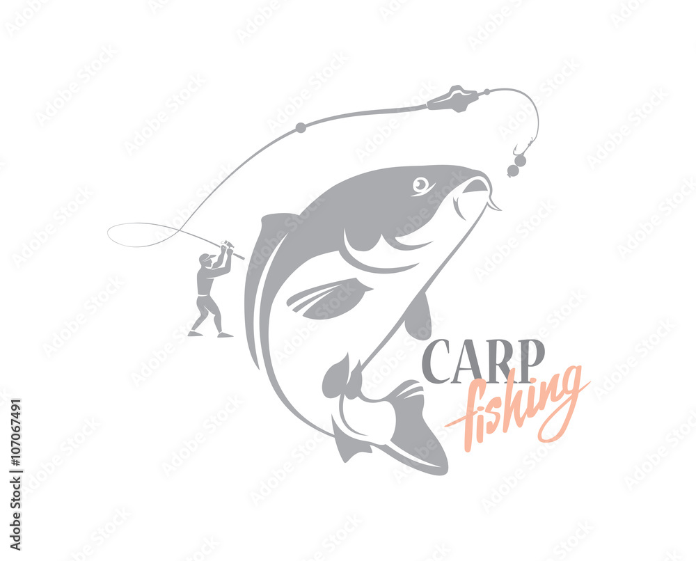 Obraz premium Carp fishing