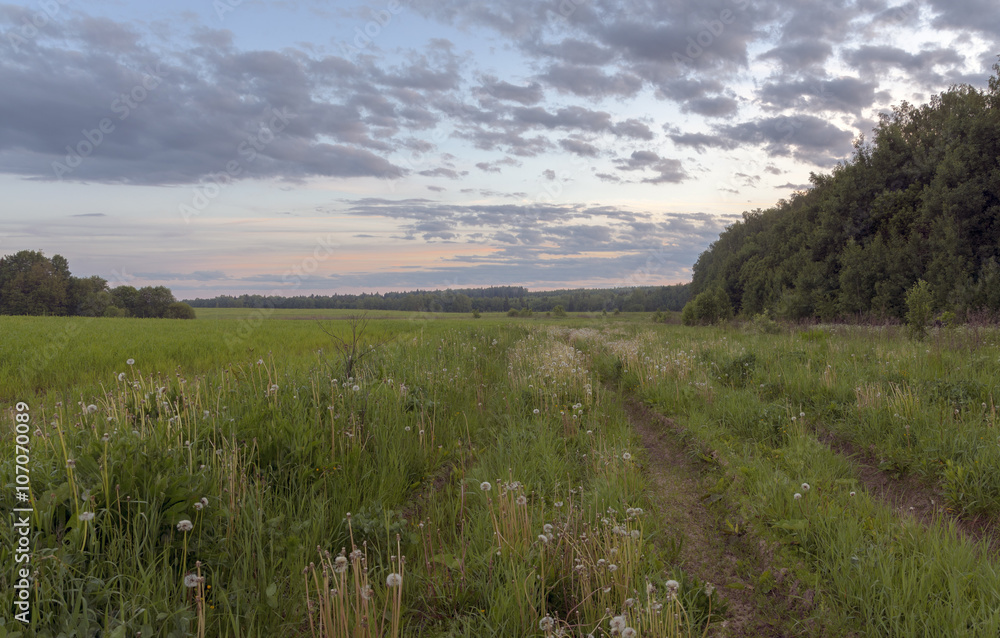 Fototapeta premium Countryside road