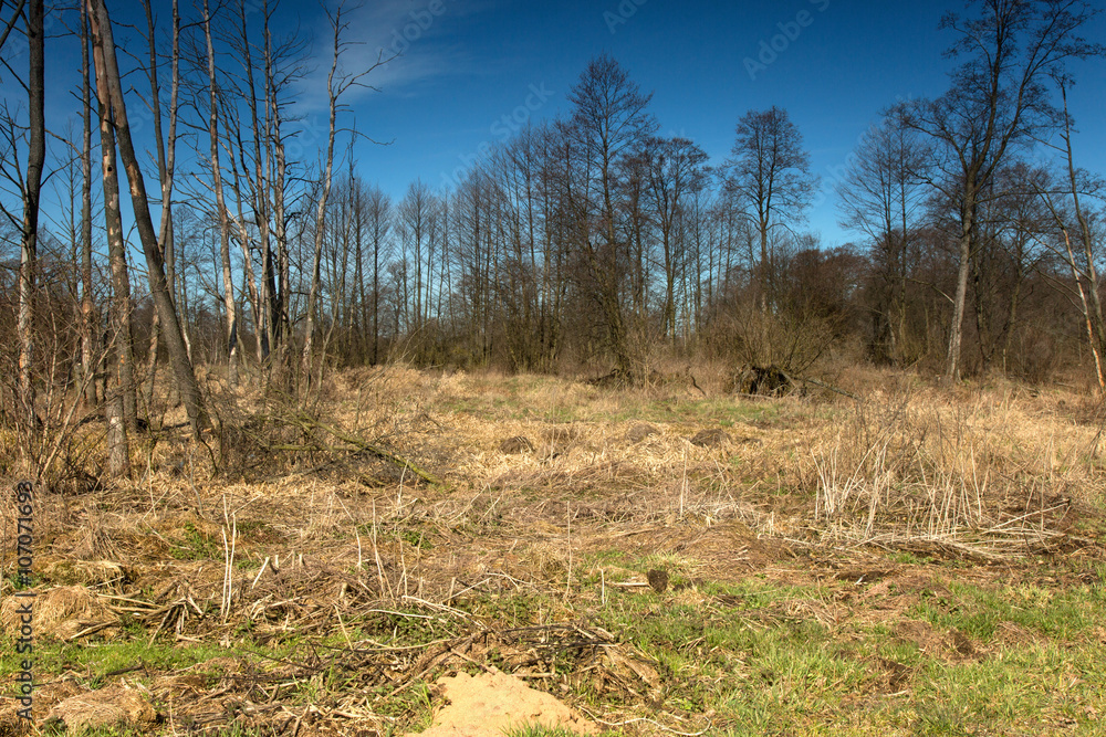 Landscape of meadows and woodlands in spring Landscape of meadows and woodlands in spring