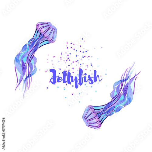 Fototapeta Naklejka Na Ścianę i Meble -  Jellyfish. Watercolor illustration