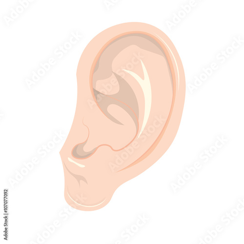 human ear vector Illustration isolated on white background
