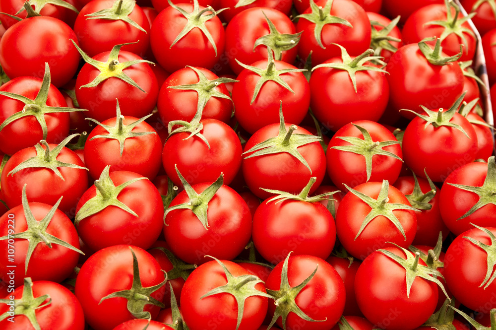 ripe red tomatoes ripe red tomatoes