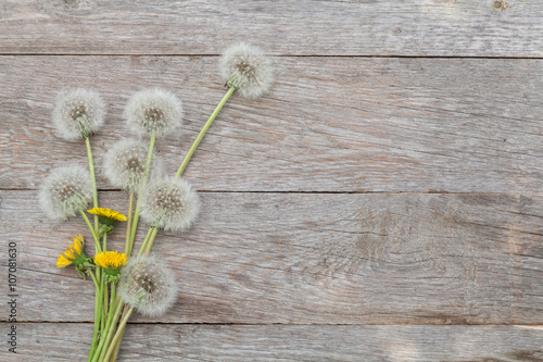 Fototapeta Naklejka Na Ścianę i Meble -  Dandelion flowers on wooden background