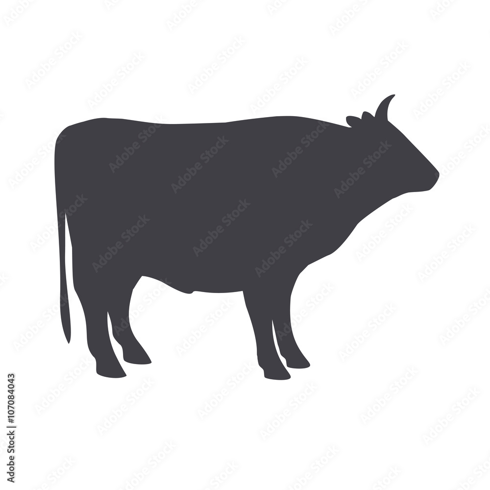 Black bull isolated on a white background. Black bull isolated on a white background.