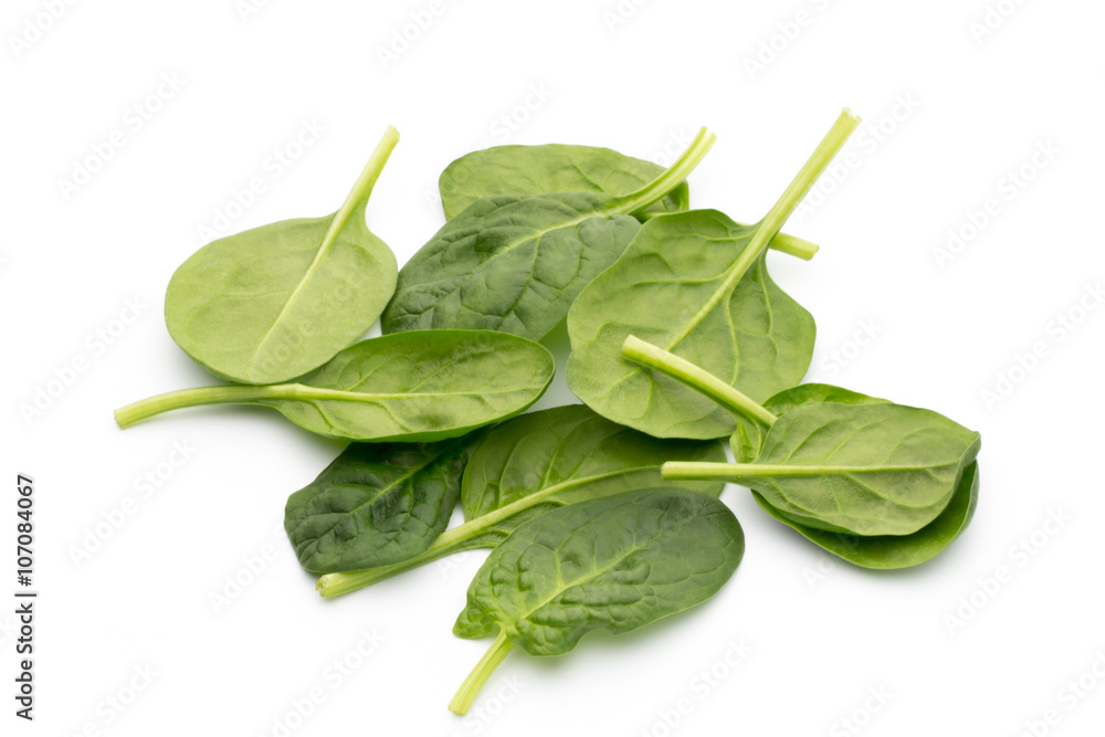 Spinach on the isolated white. Spinach on the isolated white.