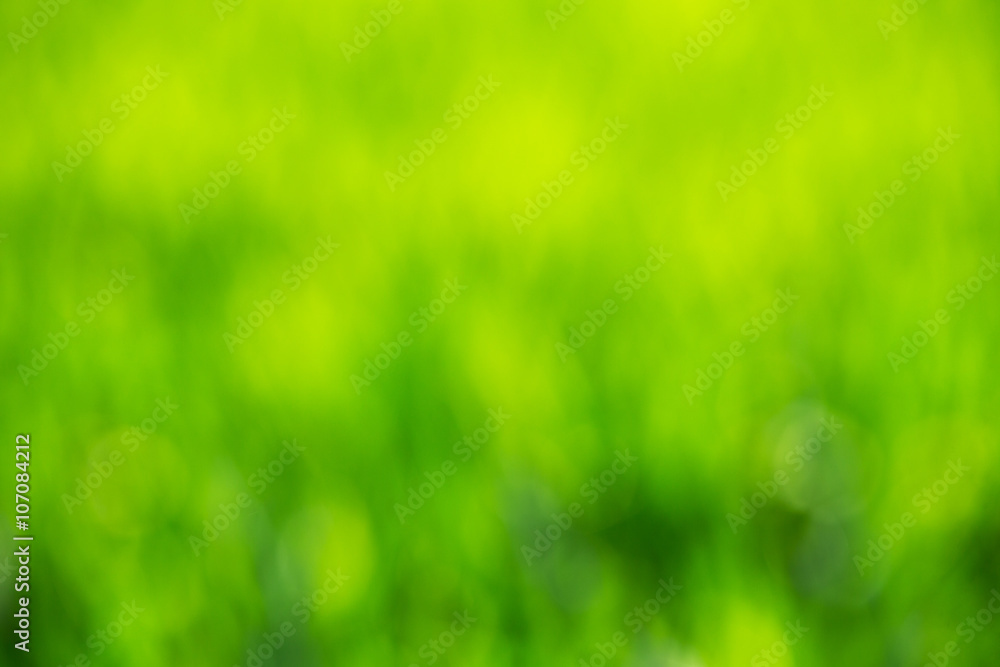 green bokeh abstract light background green bokeh abstract light background