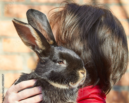 The girl holds in her arms a black rabbit