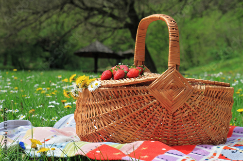 Fototapeta Naklejka Na Ścianę i Meble -  Spring picnic , Picnic basket and blanket on green grass in park, nature.