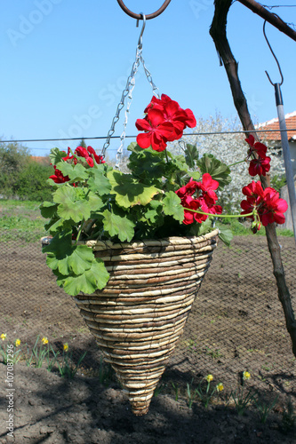 Fototapeta Naklejka Na Ścianę i Meble -  gerdina