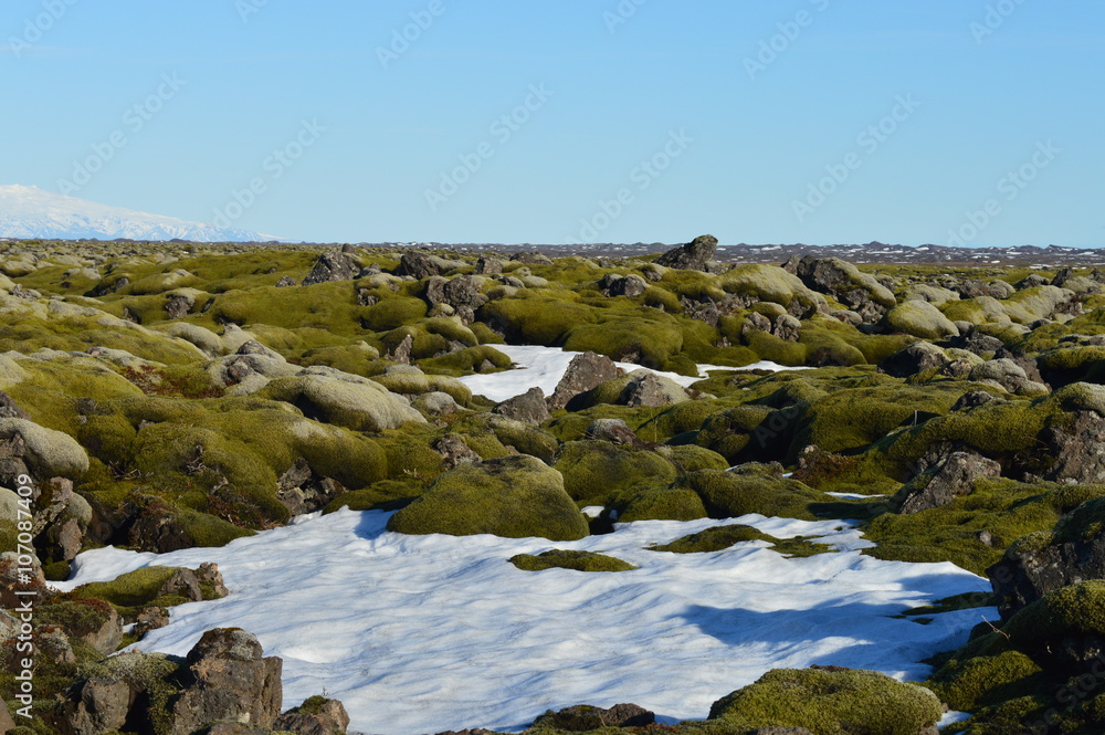 Fototapeta premium Volcano Snow covered Lava - Iceland
