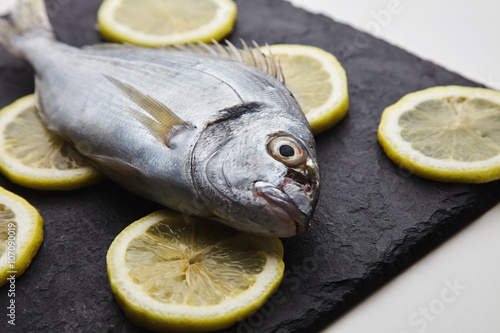 Presentation of fresh sea bream isolated on rounded lemon clices on black stone pads on white tables, side view.
Ready to grill and cook. photo