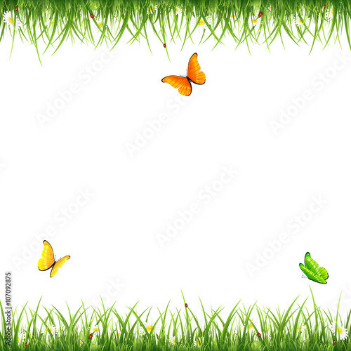 Grass with butterflies and ladybugs on white background
