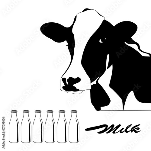 Portrait big black and white cow vector