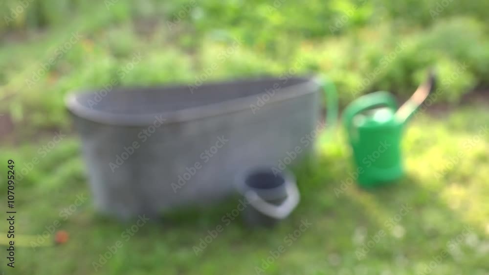 Metal bathtub kept in the garden for watering in summer, blur focus,4K Metal bathtub kept in the garden for watering in summer, blur focus,4K