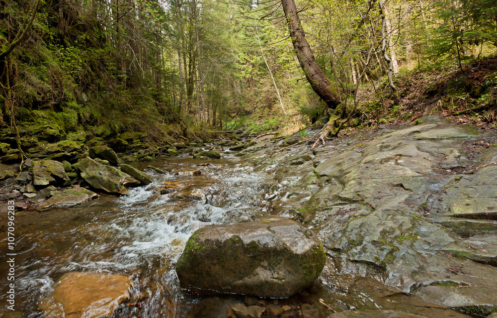 The mountain river The mountain river