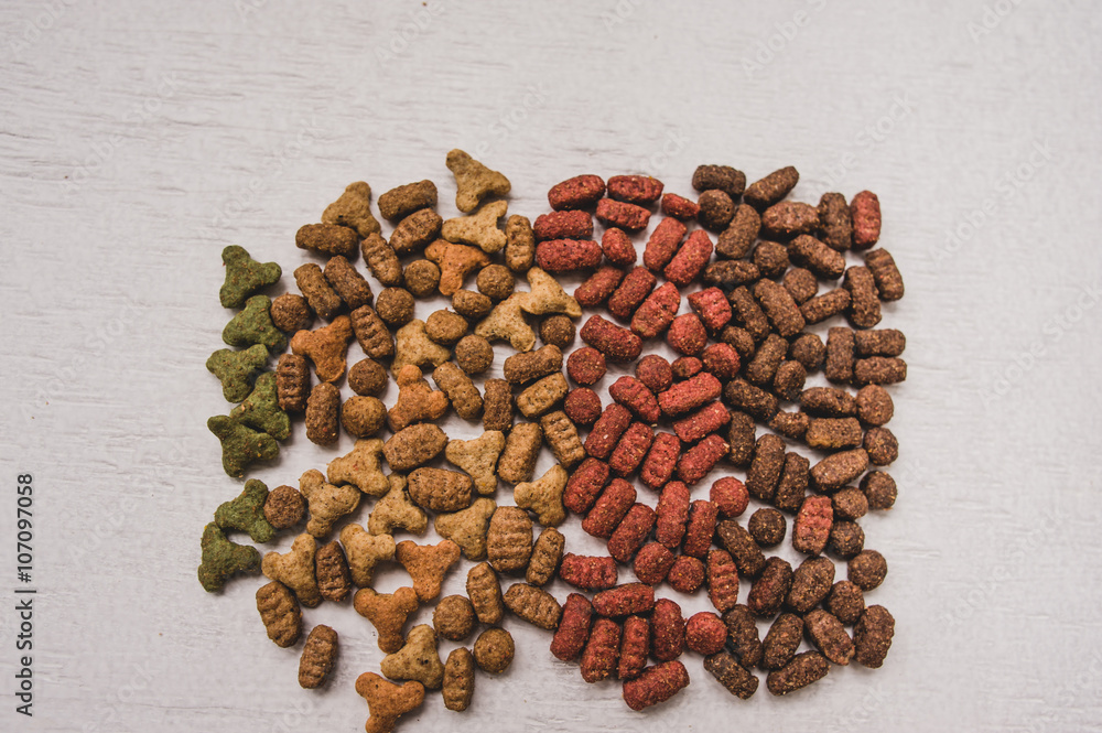 Obraz premium dry cat food