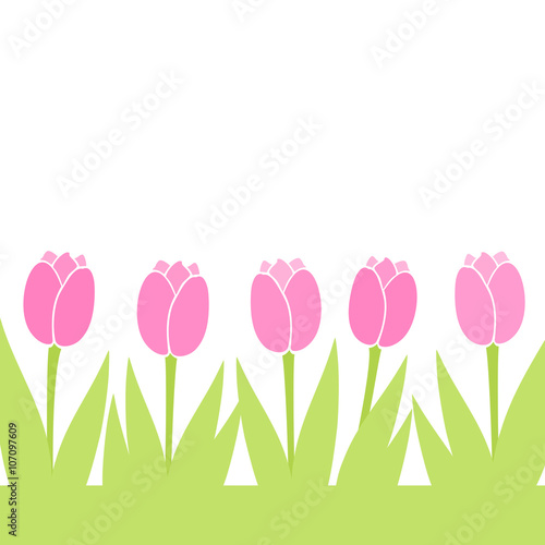 Pink tulips on white background © yime
