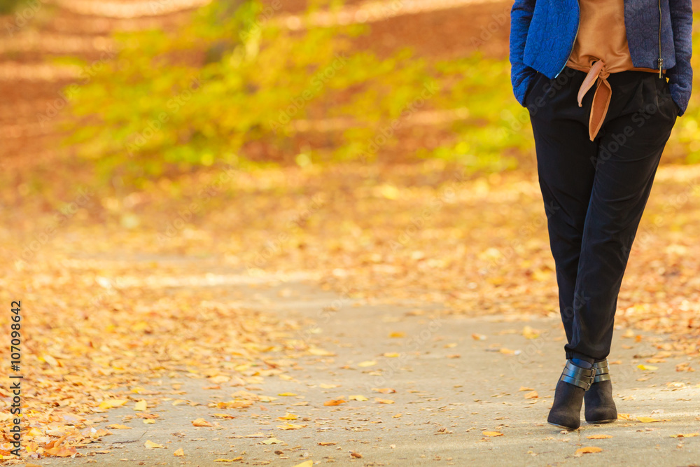 Fashionable girl walking in park. Fashionable girl walking in park.