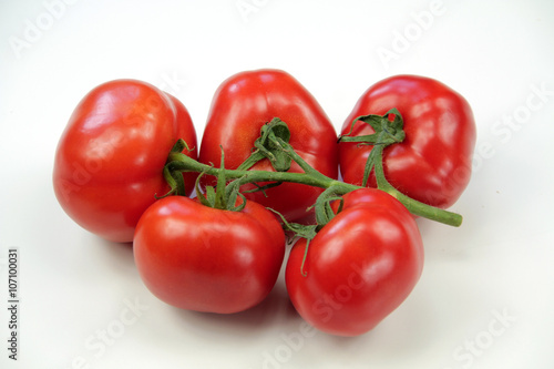tomates 04042016 © ALF photo