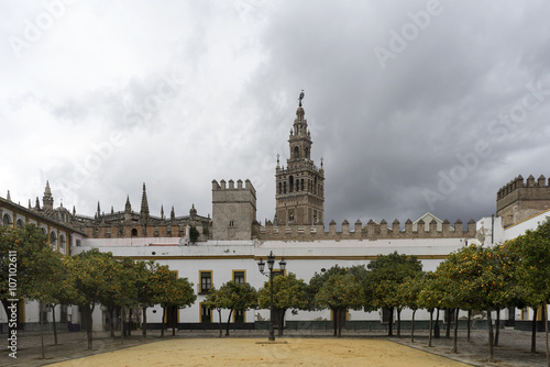 Patio de los naranjos de Sevilla con la Giralda de fondo