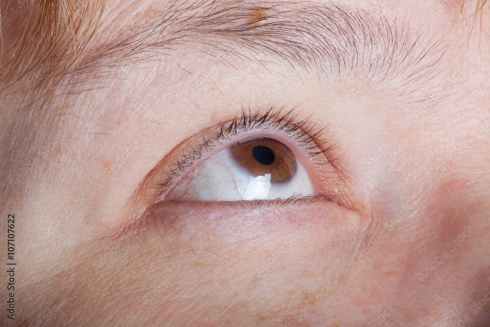 Obraz premium Close up portrait of woman