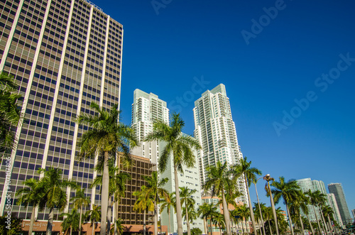 miami florida city skyline and streets © digidreamgrafix