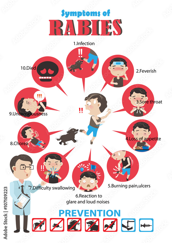 Rabies cartoon in circles Info Graphics.Vector illustrations Stock