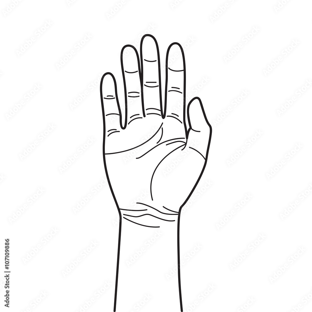 Hand Drawing Hand Drawing