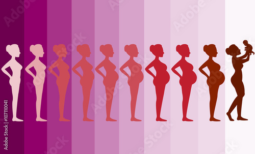 Changes in a woman's body in pregnancy,Silhouette pregnancy stages, Vector illustrations