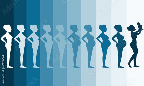 Changes in a woman's body in pregnancy,Silhouette pregnancy stages, Vector illustrations