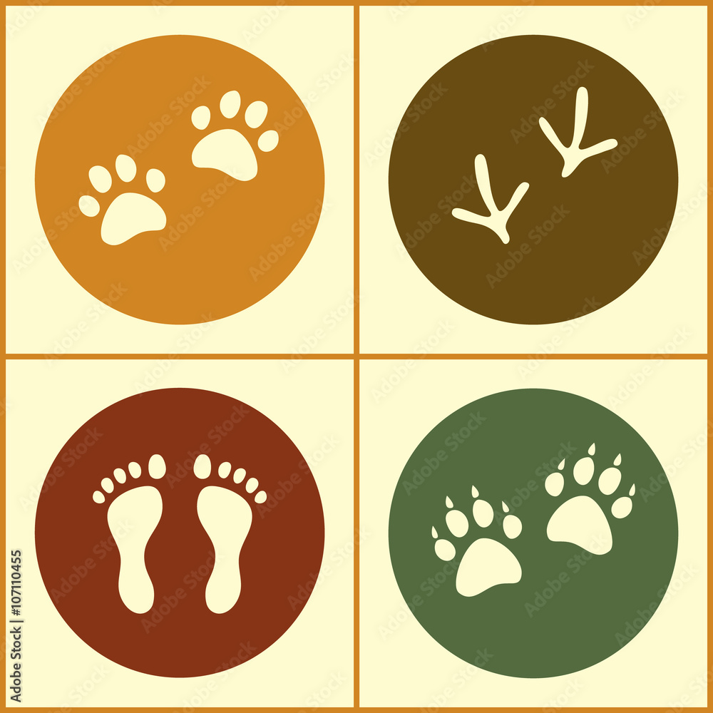 Human and bird feet, cat dog paws colored flat icons set, vector Human and bird feet, cat dog paws colored flat icons set, vector