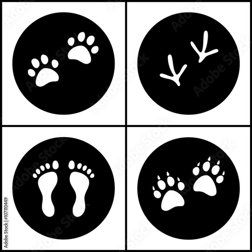 Human and bird feet, cat do...