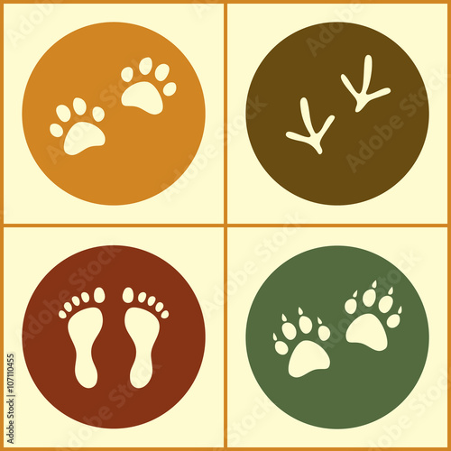 Human and bird feet, cat do...