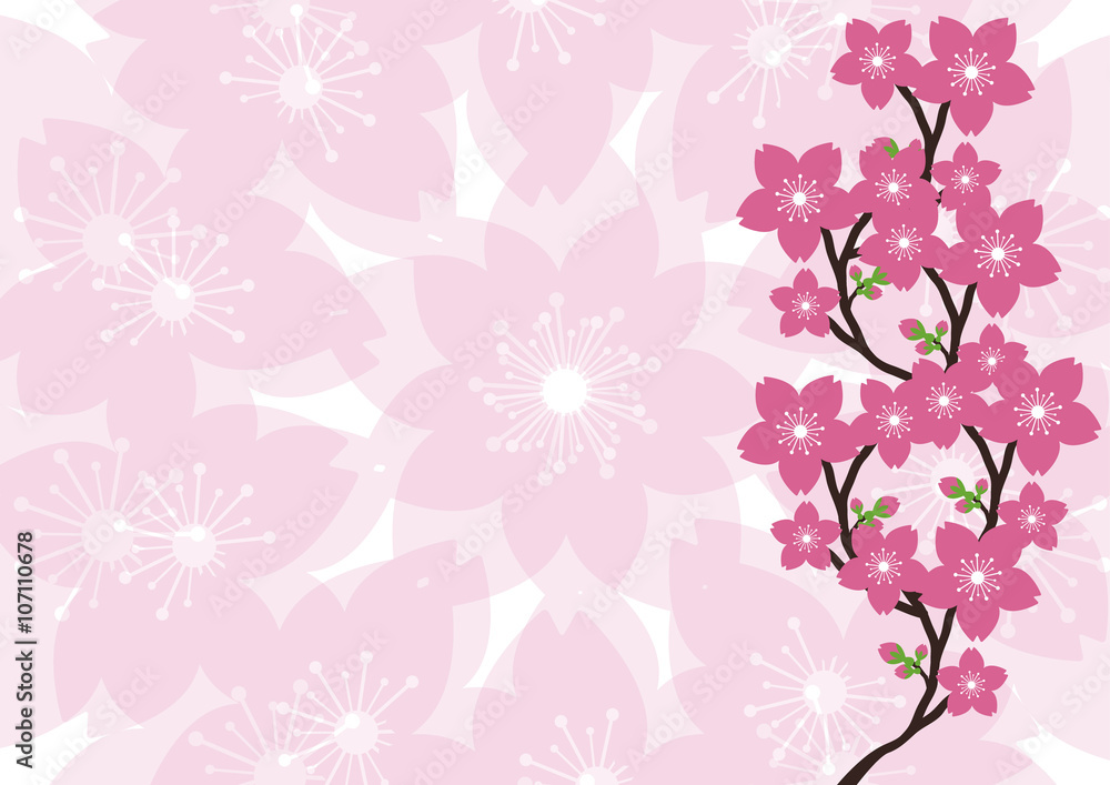 Cherry blossom, Sakura pink flowers background. Cherry blossom, Sakura pink flowers background.