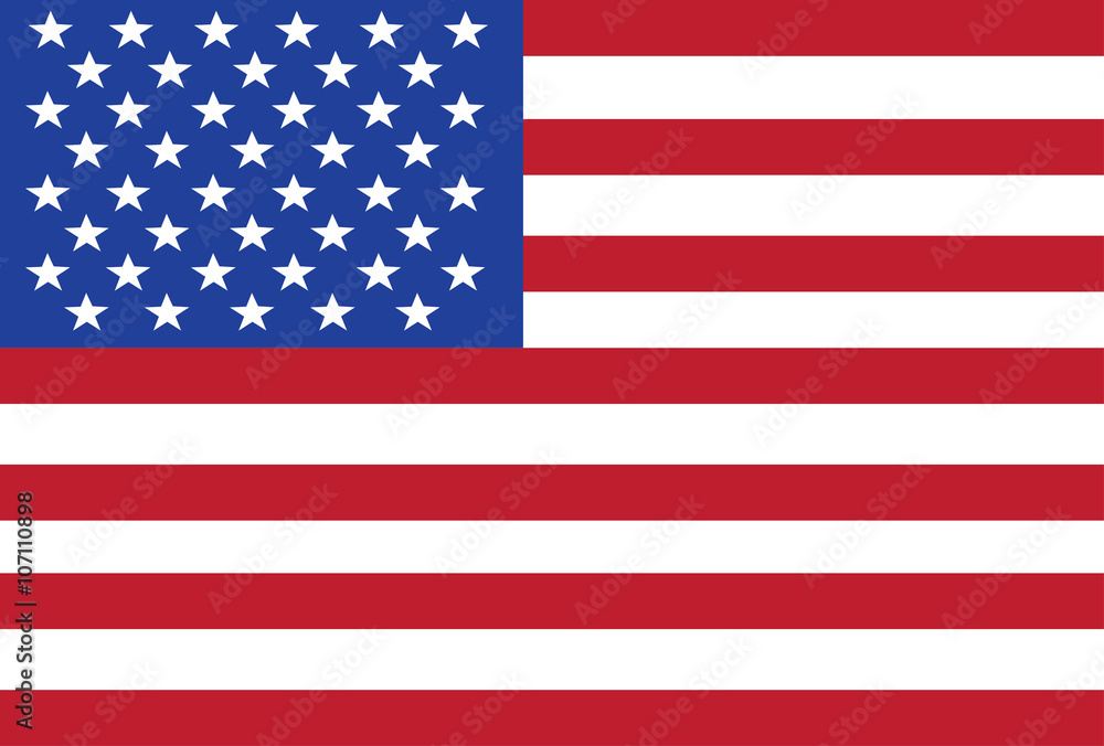 United States Flag United States Flag