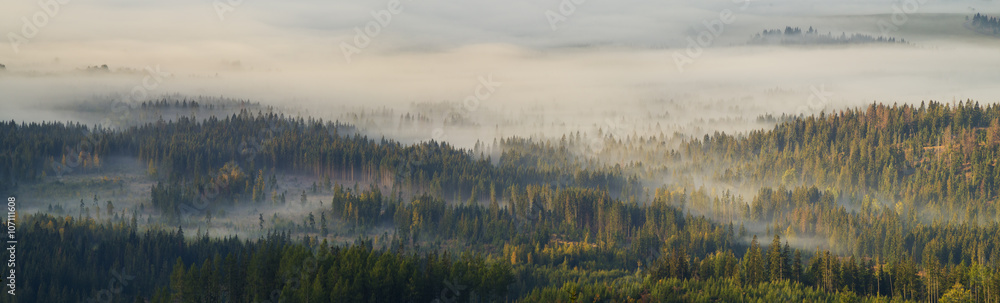 Fototapeta Dolina górska spowita poranną mgłą