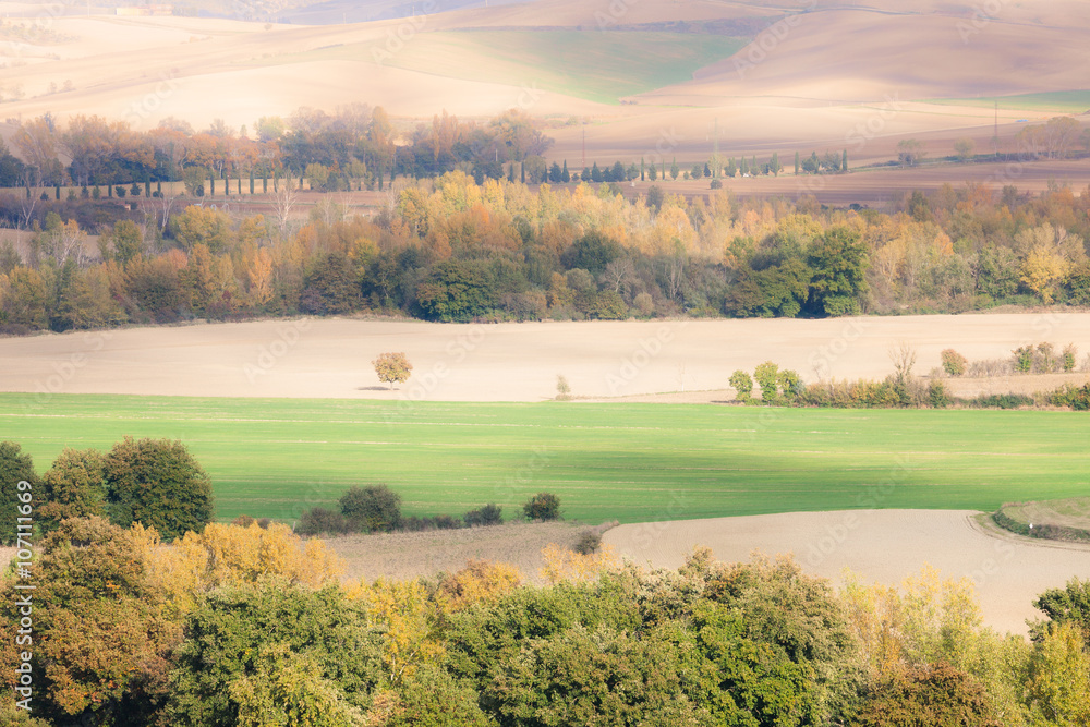 Fototapeta premium Sunny countryside valley