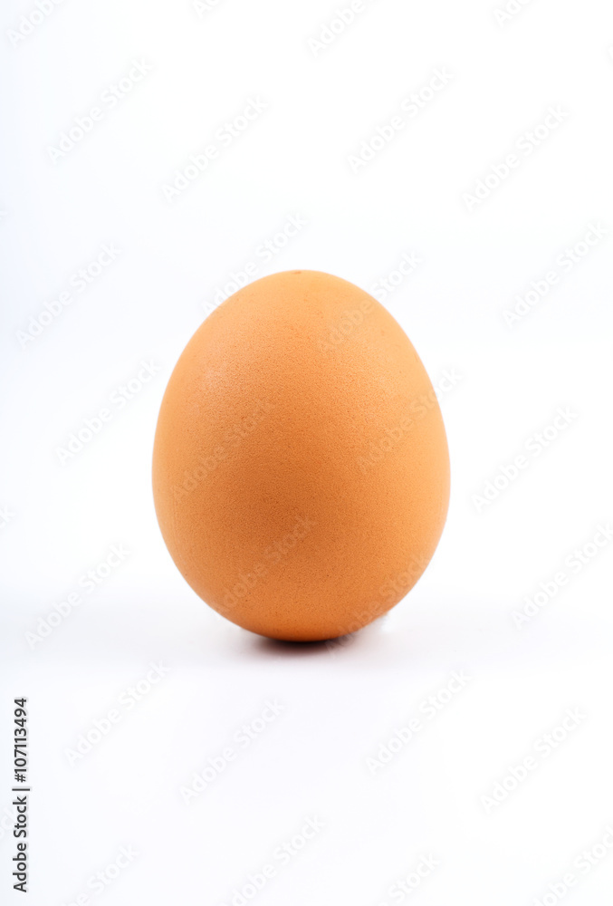 One brown egg on white background