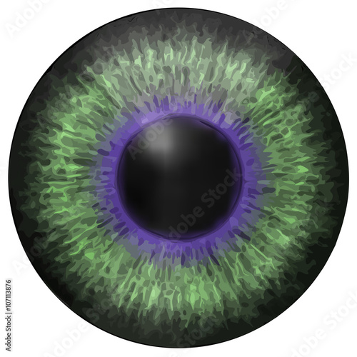 Eye iris vector texture