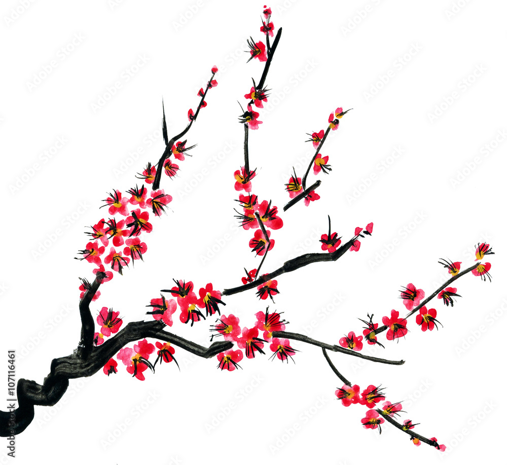 A branch of a blossoming tree. Pink flowers of sakura . Watercolor and ink illustration in style sumi-e, u-sin. Oriental traditional painting.  Isolated on white background.